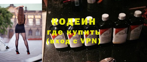 хмурый Абаза