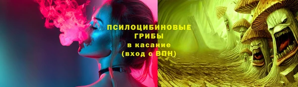 хмурый Абаза