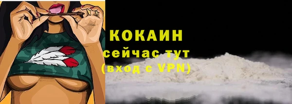 хмурый Абаза