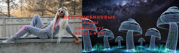 хмурый Абаза