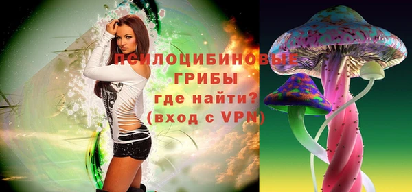 PSILOCYBIN Абинск