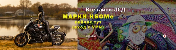хмурый Абаза