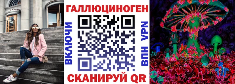 Галлюциногенные грибы Psilocybe  Вытегра 